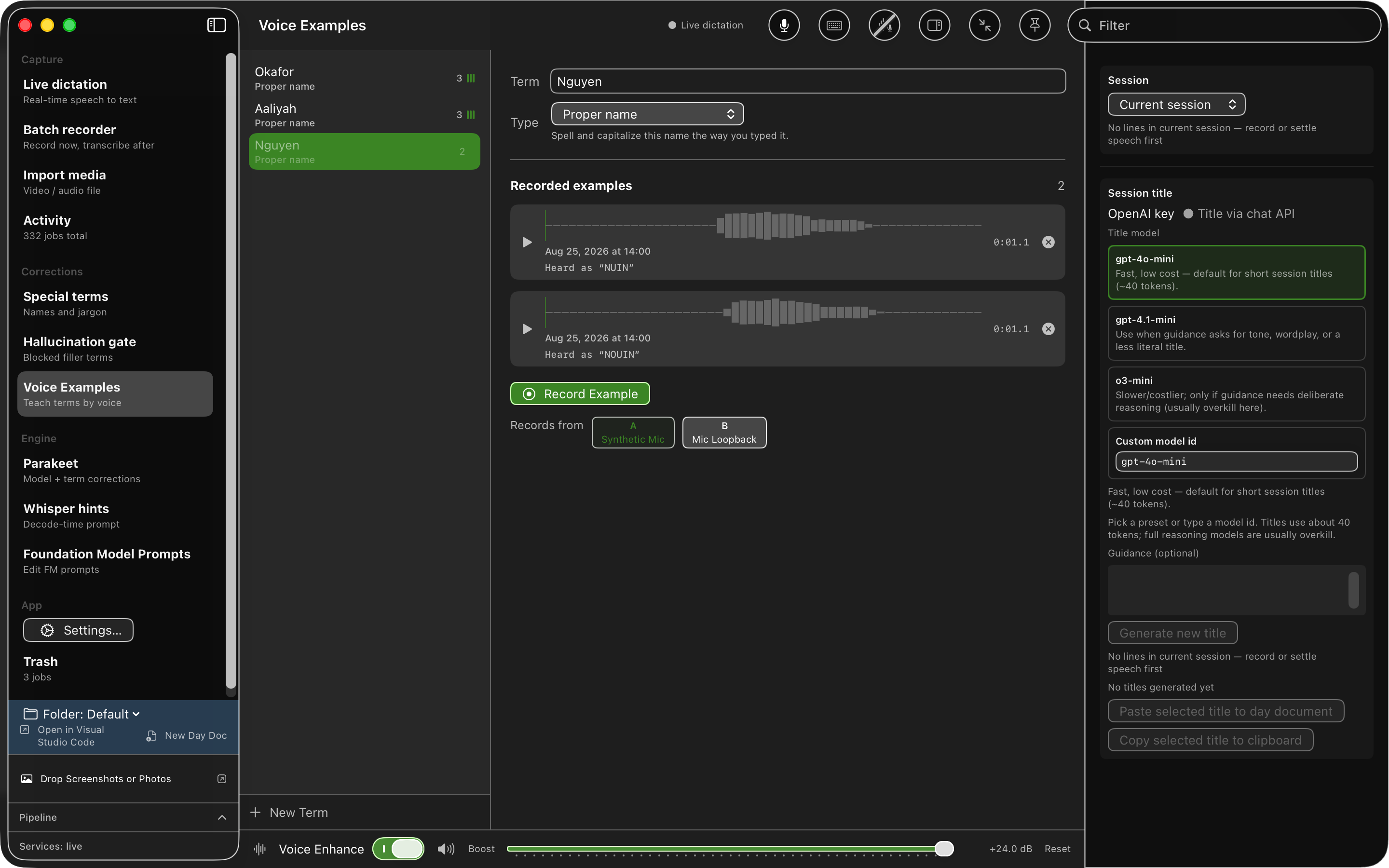 The SpeakWith Voice Examples pane: a list of special terms on the left, the term Nguyen selected on the right, each recorded example showing a Heard as line beneath it, and a Record Example button.